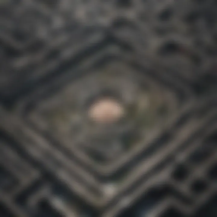 An intricate maze representing complex decision-making strategies