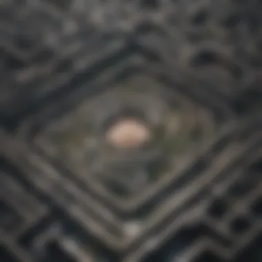 Navigating the Maze of Decisions An intricate maze representing complex decision-making strategies