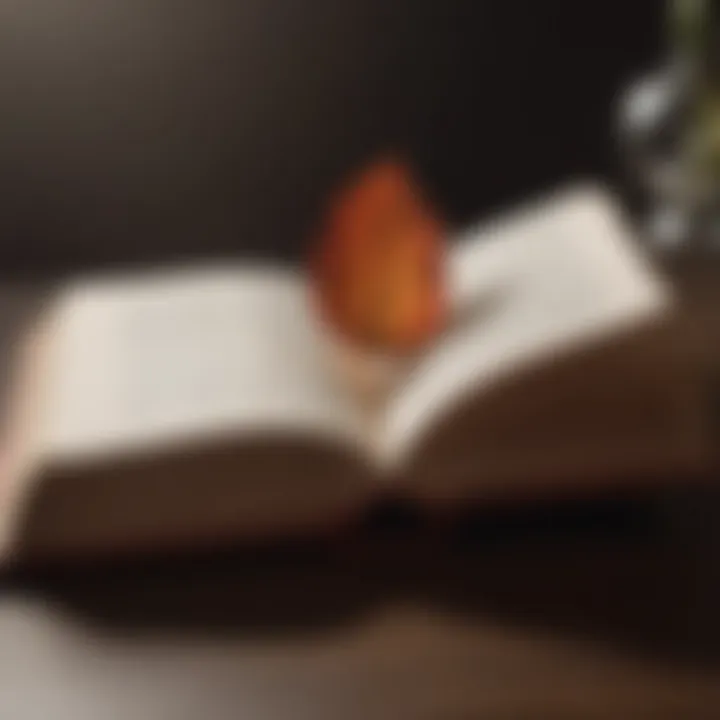 An open book representing the journey of self-acceptance