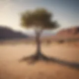 Illustration of a solitary tree in a vast desert landscape