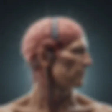 Neurological Symphony: The Brain's Response to Breathwork Illustration of brain activity during deep breathing