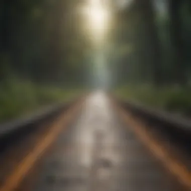 Symbolic imagery representing the journey to recovery from trauma