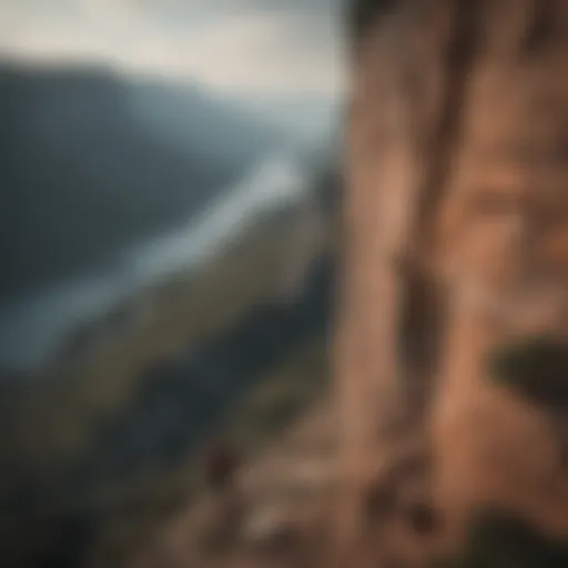 A person standing at the edge of a cliff, gazing into the distance, symbolizing bravery and the unknown.