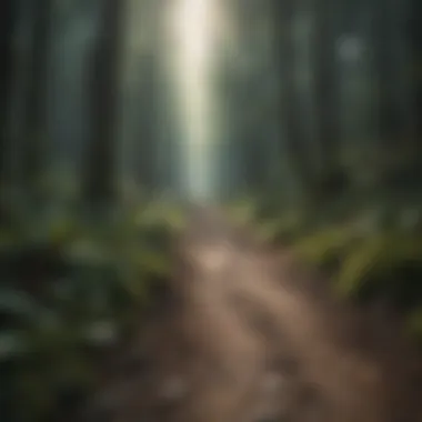 Navigating Through Challenges A path through a dense forest, depicting the journey of overcoming fears and obstacles.
