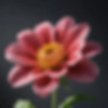 A close-up of a blooming flower representing growth