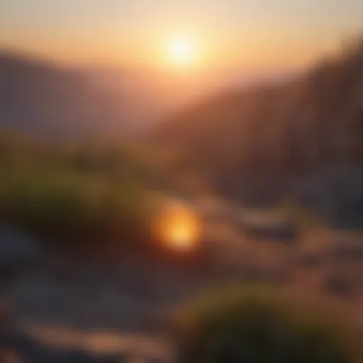 A serene sunrise symbolizing new beginnings