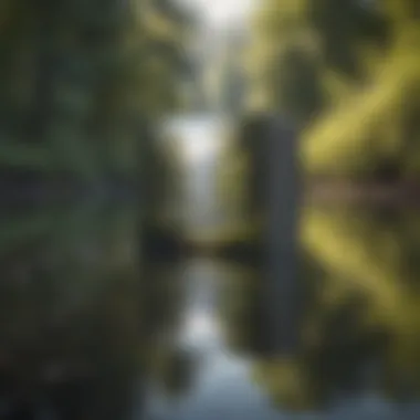 Nature's Reflection on Motivation A serene landscape with a thought-provoking quote