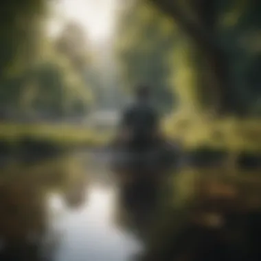 Finding Stillness in a Busy World A serene landscape promoting stillness