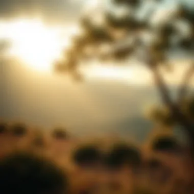 The Essence of Introversion The essence of introversion depicted through serene landscapes