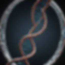 Illustration of DNA strands intertwined with athletic symbols