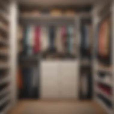 Neatly Arranged Closet with Color-Coordinated Clothing