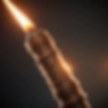 Guiding Light of Knowledge Illustration of a torch lighting the way