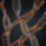 Twisting Strands of Genetic Code