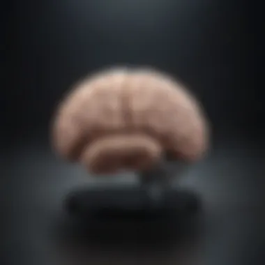 Illustration of a brain symbolizing the millionaire mindset