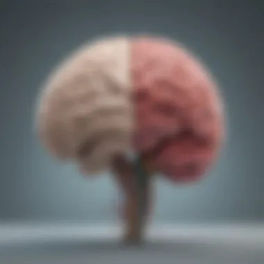 Conscious vs Subconscious Mind Illustration of a brain split in two, showcasing conscious and subconscious aspects