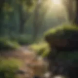 A serene landscape evoking emotional depth