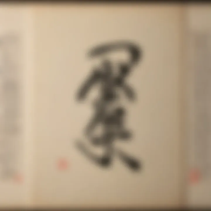 A calligraphic representation of the Tao Te Ching