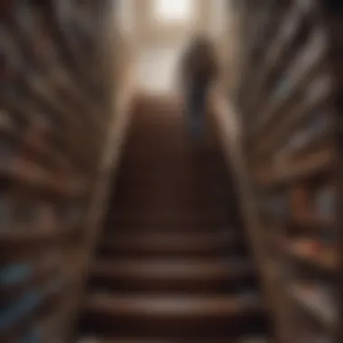 Illustration of a person climbing a staircase of books