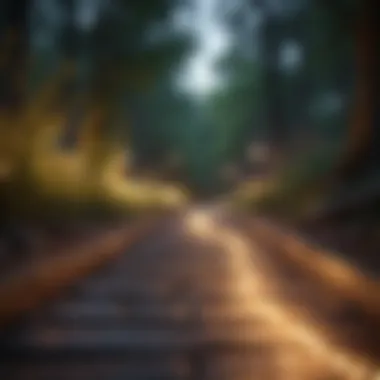 Illuminated Path of Possibilities Illuminated Path of Possibilities