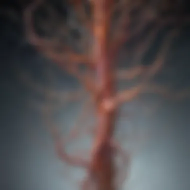 Neural Pathways of Habit Formation Illustration depicting neural pathways forming new habits