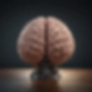 Productivity Hacks: Unleashing Your Brain's Power Maximizing Productivity with Brain Optimization Techniques