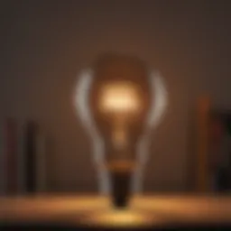 Illustration of a glowing light bulb symbolizing knowledge and wisdom