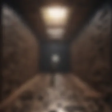 Captivating Mind Maze Captivating Mind Maze